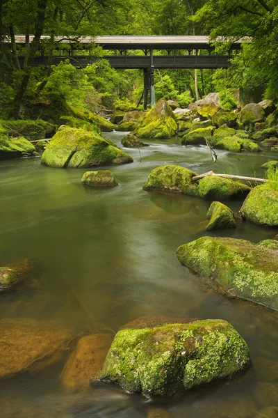 River with a covered bridge in a lush green forest — Stock Photo, Image