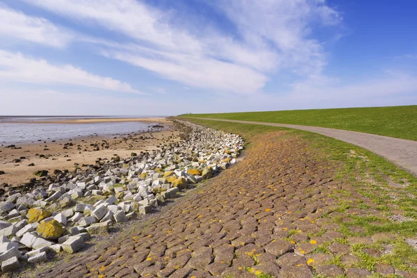 Dyke op het eiland Terschelling in Nederland — Stockfoto