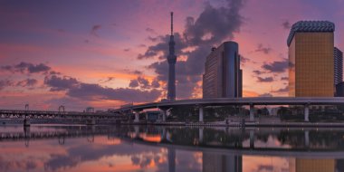 Tokyo Sky ağaç ve Sumida nehir, Tokyo, Japonya sunrise