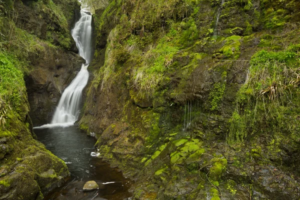 Cascada en el Glenariff Forest Park en Irlanda del Norte —  Fotos de Stock