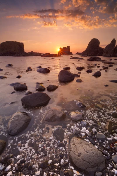 Sea stacks near Ballintoy Harbour in Northern Ireland at sunset — Stock Photo, Image