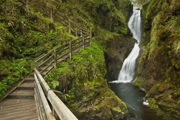 Cascada en el Glenariff Forest Park en Irlanda del Norte — Foto de Stock