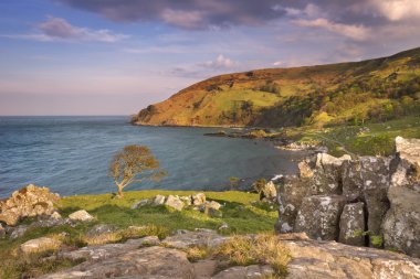 Kuzey İrlanda'nın Causeway kıyısındaki Murlough Bay