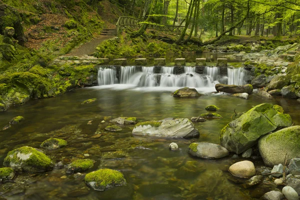 Trittsteine über einem Fluss in Nordirland — Stockfoto