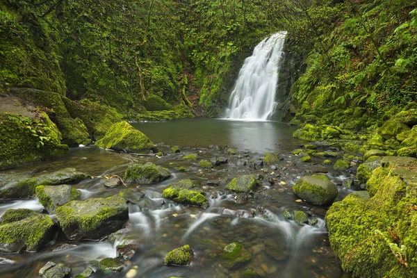 Het Gleno Falls in Noord-Ierland — Stockfoto