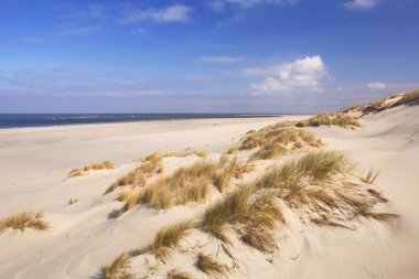 Ada Terschelling Hollanda sonsuz kumsalda