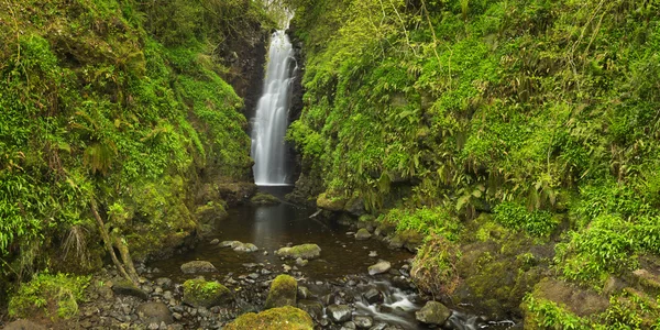 The Cranny Falls na Irlanda do Norte — Fotografia de Stock