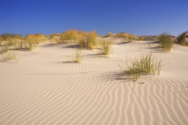 Sand dunes with ripples clipart