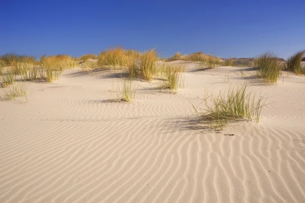 Піщані дюни з брижами — стокове фото