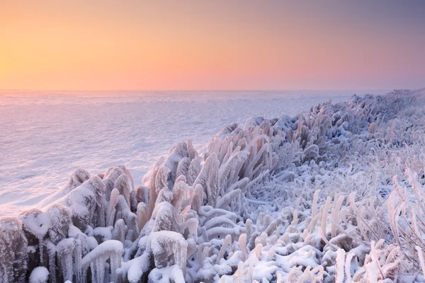 オランダで凍った湖の上の日の出 — ストック写真