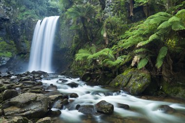 Yağmur ormanları şelaleler, Hopetoun Falls, büyük Otway Np, Victoria,