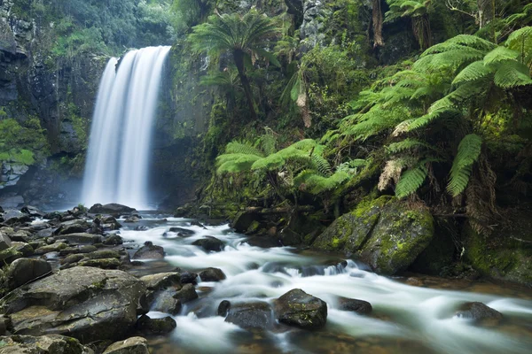 Regenwoud watervallen, Hopetoun Falls, Great Otway Np, Victoria, — Stockfoto