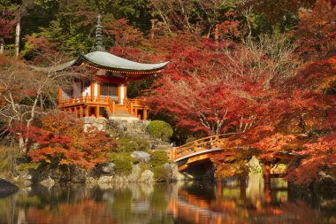 Kyoto, Japonya Recai-ji Tapınağı'nda sonbahar renkleri