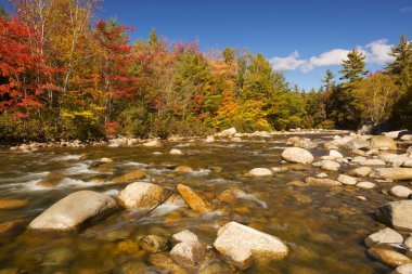 Sonbaharda yapraklar, Swift nehir, New Hampshire, Amerika Nehri