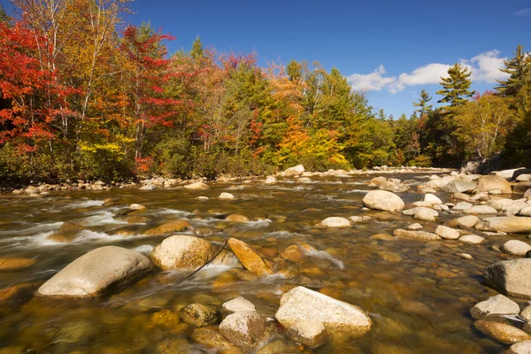 River through fall foliage, Swift River, New Hampshire, EUA — Fotografia de Stock