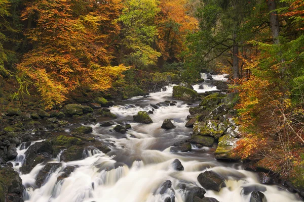 Fluss durch Herbstfarben in der Einsiedelei, Schottland — Stockfoto