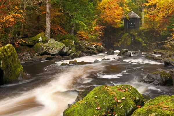 Fluss durch Herbstfarben in der Einsiedelei, Schottland — Stockfoto