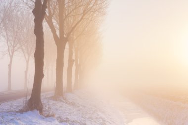 Sisli winter'ın gündoğumu Nether tipik polder peyzaj içinde