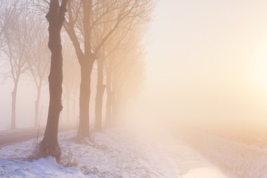 Foggy winter's sunrise in typical polder landscape in The Nether clipart