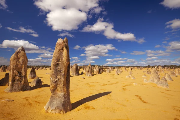 Pinnacles пустелі в Nambung національному парку, Західна Австралія — стокове фото