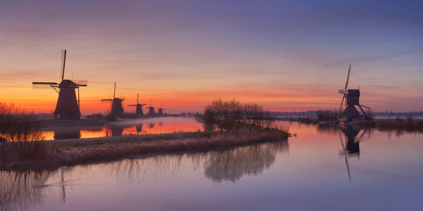 Traditionele windmolens bij zonsopgang, Kinderdijk, Nederland — Stockfoto