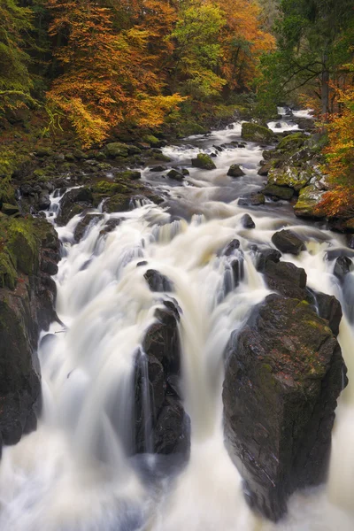 River door de herfstkleuren in het Hermitage, Schotland — Stockfoto