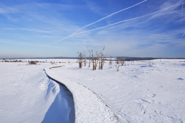 Açık bir günde kışın Belçika Hautes Fagnes