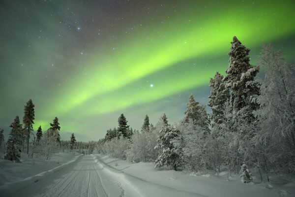 Aurora borealis over a track through winter landscape, Finnish L