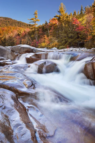 Fiume attraverso il fogliame autunnale, Swift River Lower Falls, NH, USA — Foto Stock