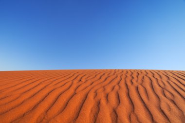 Kırmızı kumul açık bir günde, Northern Territory, Avustralya