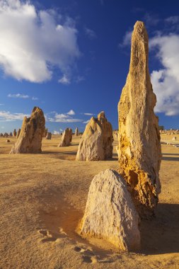 Pinnacles çöl Nambung Milli Parkı'nda, Batı Avustralya