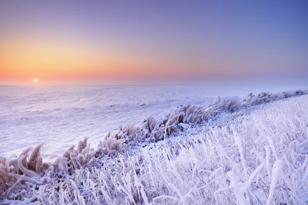 Lever de soleil sur un lac gelé aux Pays-Bas — Photo