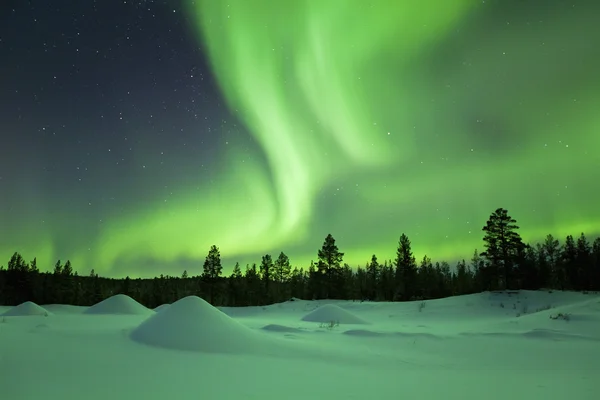 Aurora borealis karlı kış manzara, Fin Lapland üzerinde