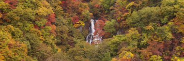 Kirifuri Falls yakınındaki Nikko, sonbahar Japonya'da