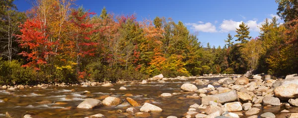 Río a través del follaje de otoño, Swift River, New Hampshire, EE.UU. — Foto de Stock