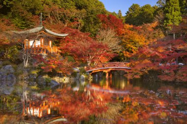 Kyoto, Japonya Recai-ji Tapınağı'nda sonbahar renkleri