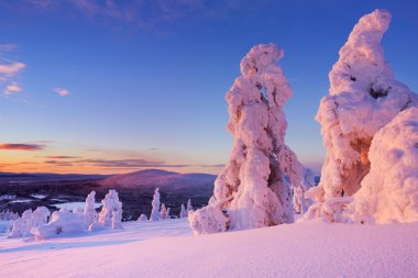 Sunset over frozen trees on a mountain, Levi, Finnish Lapland clipart