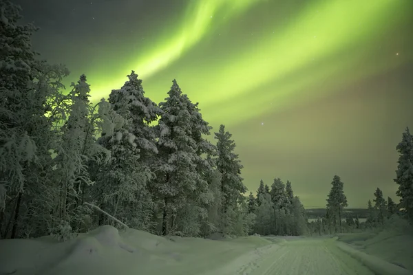 Aurora borealis over a track in winter, Finnish Lapland — 图库照片