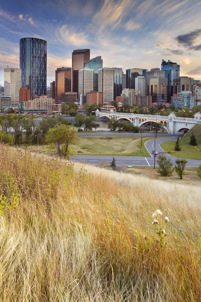 Skyline of Calgary, Alberta, Canada at sunset — стокове фото