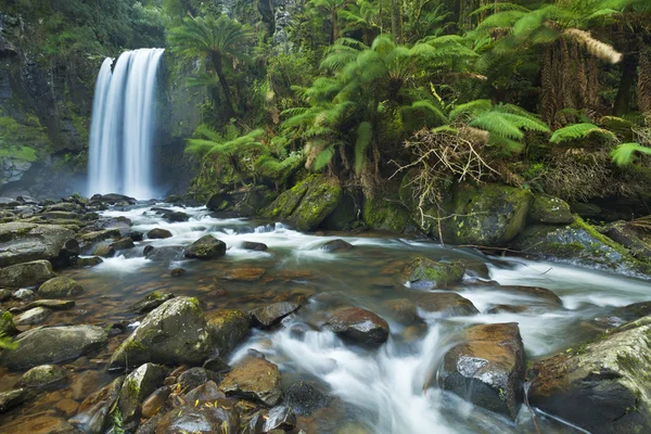 Cachoeiras da floresta tropical, Hopetoun Falls, Great Otway NP, Austrália — Fotografia de Stock