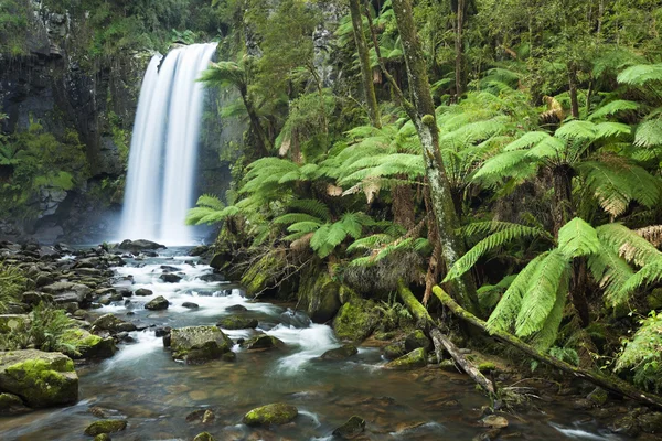 熱帯雨林の滝、フェザーデール、グレート オトウェイ国立公園、ビクトリア, — ストック写真