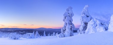 Sunset over frozen trees on a mountain, Levi, Finnish Lapland clipart