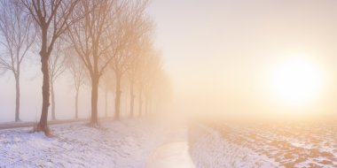Sisli winter'ın gündoğumu Nether tipik polder peyzaj içinde