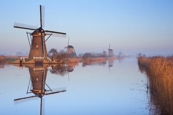 Molinos de viento holandeses tradicionales al amanecer en invierno en el Kinderdi —  Fotos de Stock