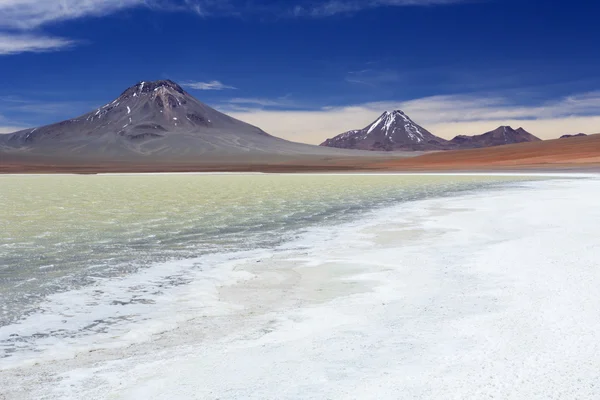 Pustynia północ jezioro Laguna, Altiplano, Chile w słoneczny dzień — Zdjęcie stockowe