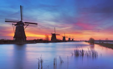 Traditional windmills at sunrise, Kinderdijk, The Netherlands clipart