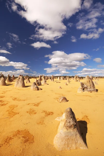 El desierto de Pináculos en el Parque Nacional Nambung, Australia Occidental —  Fotos de Stock
