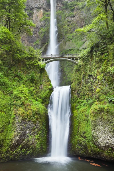 Multnomah Falls en el desfiladero del río Columbia, Oregon, EE.UU. — Foto de Stock