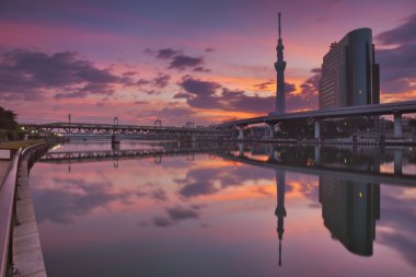 Tokyo Sky ağaç ve Sumida nehir, Tokyo, Japonya sunrise