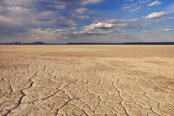 Gebarsten aarde in externe Alvord woestijn, Oregon, Usa — Stockfoto